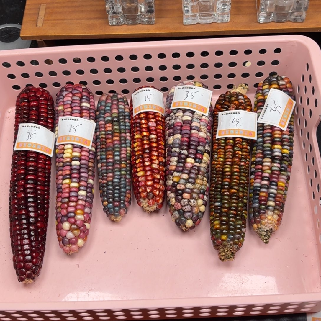 没***）银S925我我我我我我我我我我