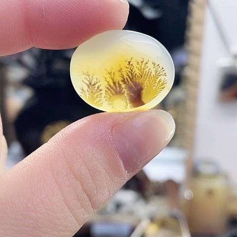 玛瑙/玉髓珠宝奇石未镶嵌