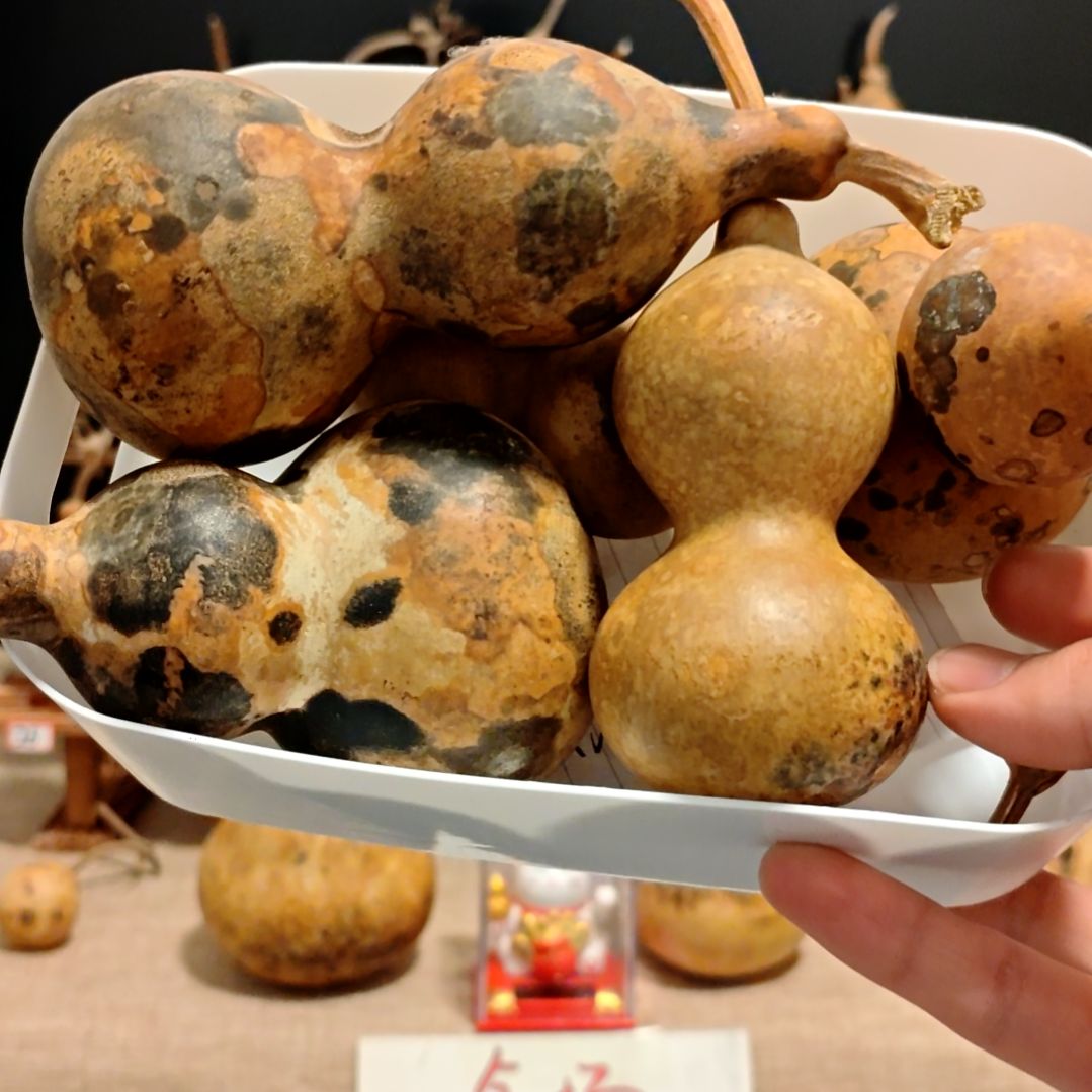 春***城直播间专拍葫芦葫芦