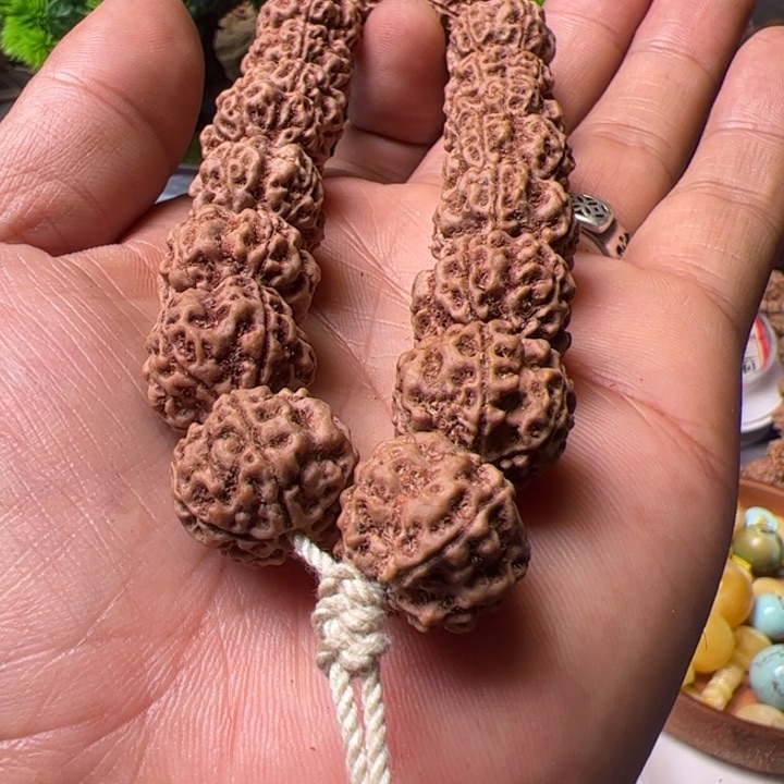 金刚菩提手串暖***18雪山铁籽始祖梅花