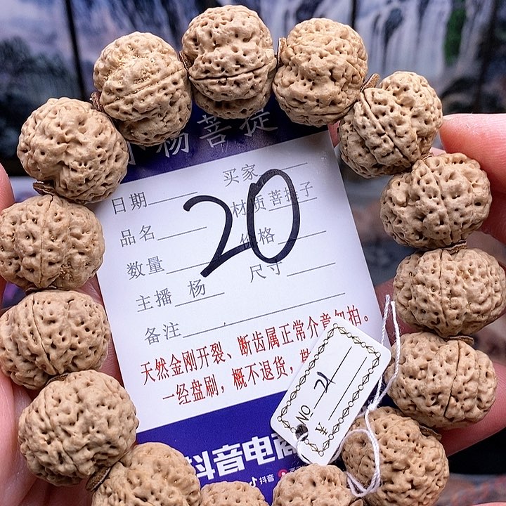 手串金刚菩提21梁梅花