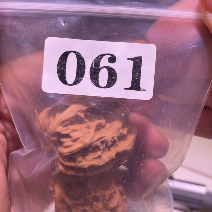 用***5文玩核桃吊坠061野生