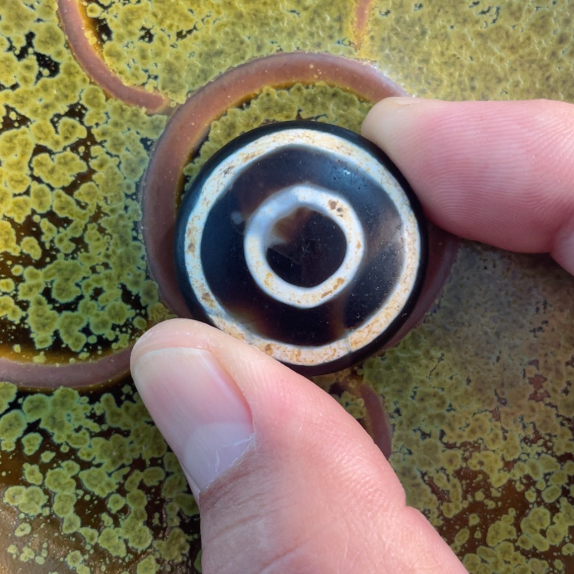 【闪购商品】杯。。。。。好的我知道了我知道了