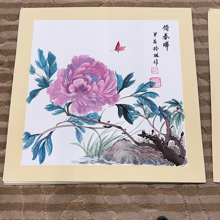 国画花鸟的翅膀和翅膀50.50