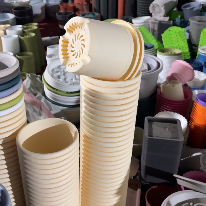 四季2号5个米黄色的