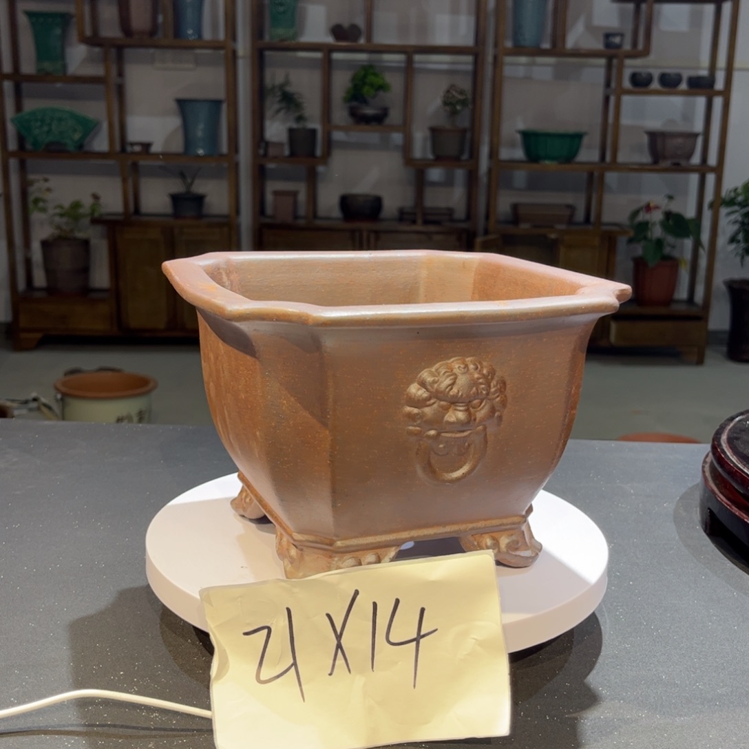 全部花苞紫砂花盆