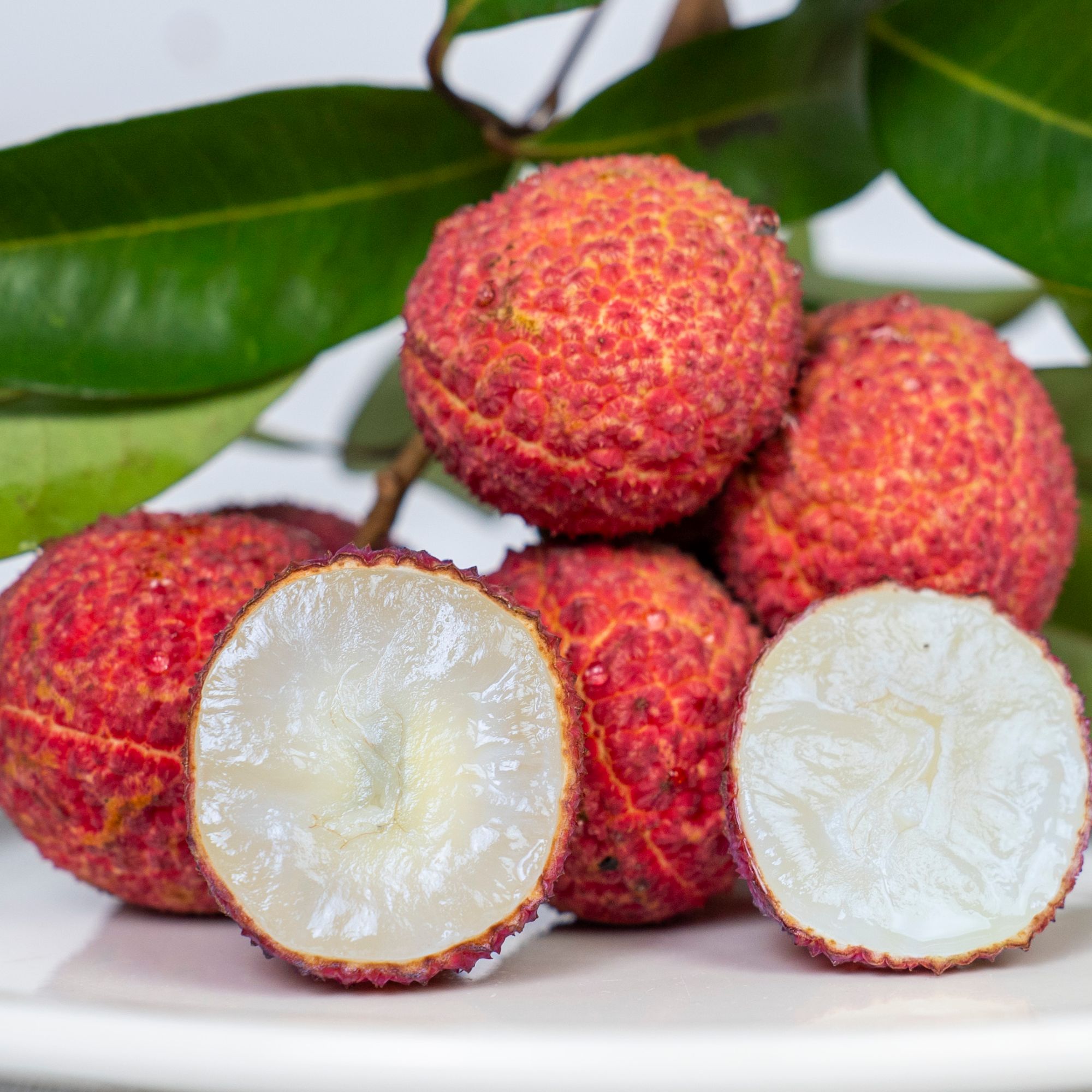 【荔优*享】无核荔枝无籽现摘现发新鲜发货京东空运9分甜1分酸