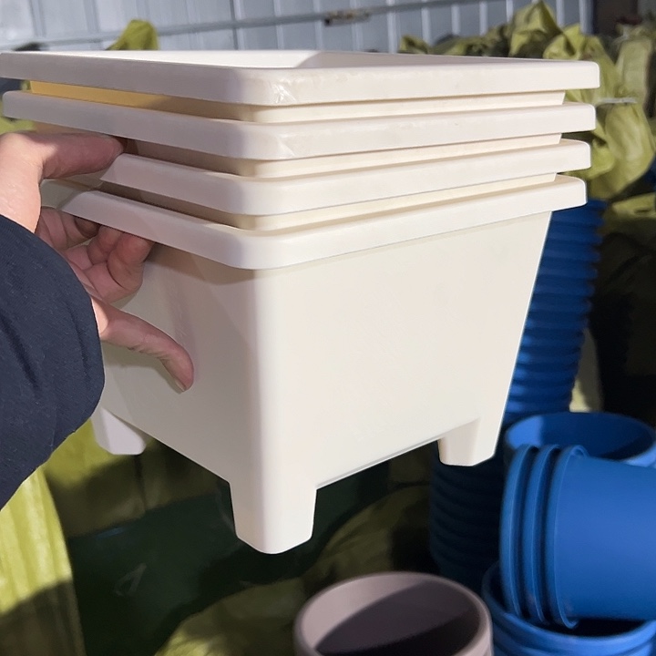 8***叔微瑕米白方球根4个盆26外径