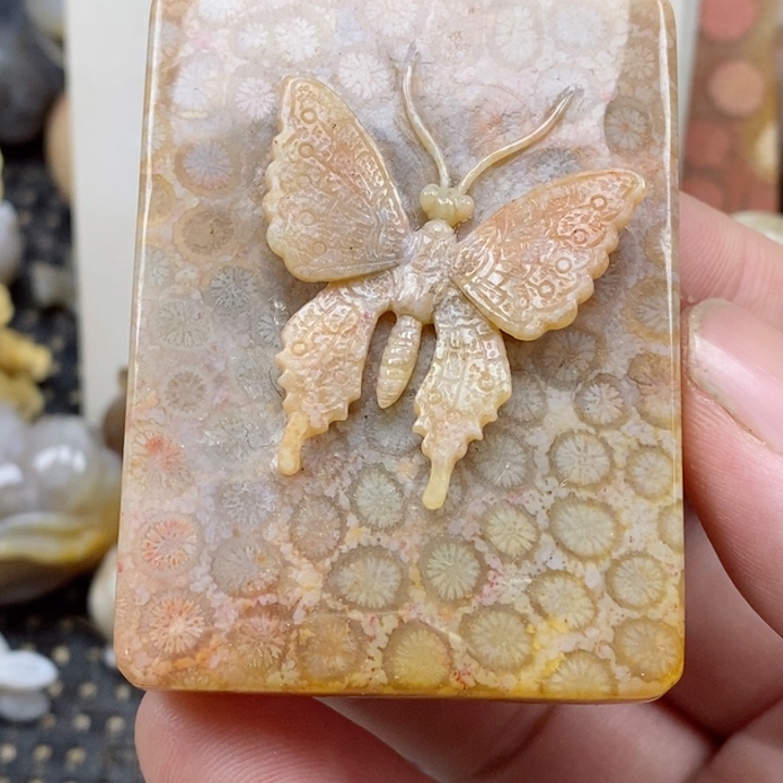 颈饰未镶嵌硅化珊瑚（珊瑚玉）