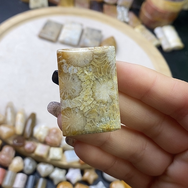 硅化玉未镶嵌颈饰1