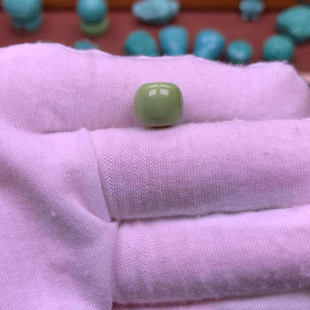 湖北原生态卡10老型菜籽黄