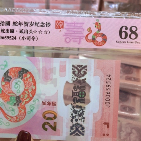 塑料000659524小司令———————