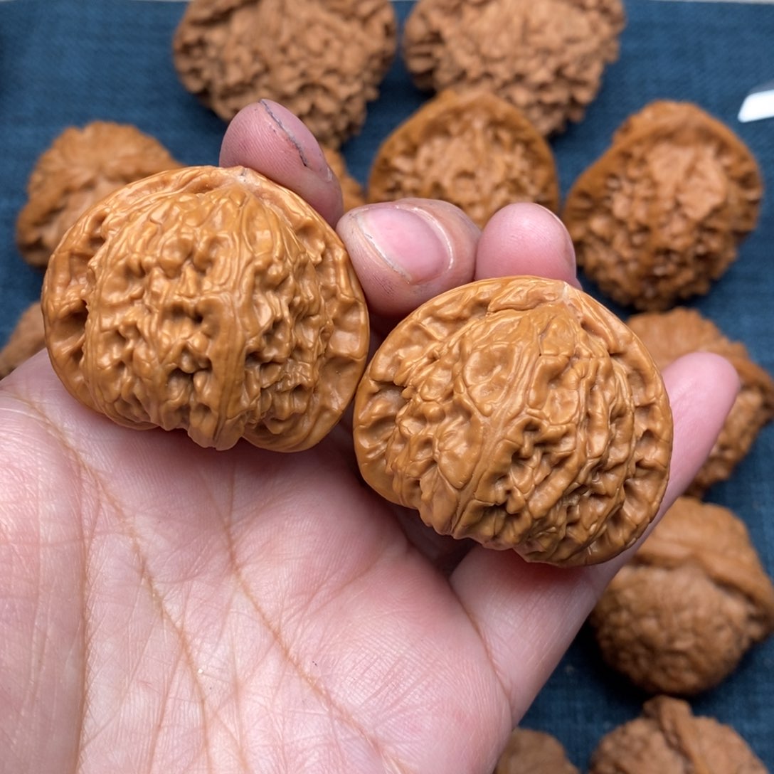 文玩核桃把件39白狮子