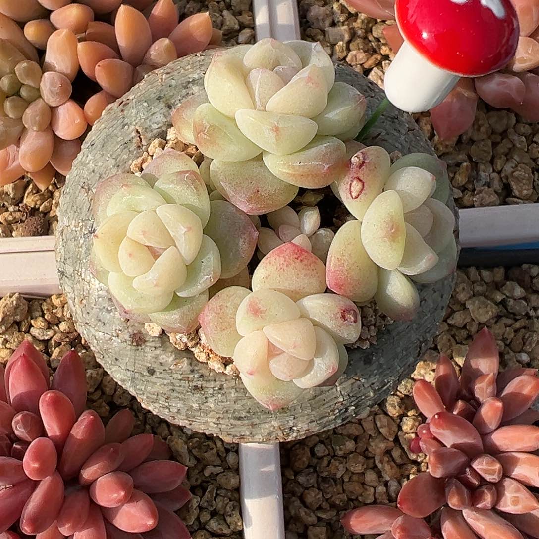 带盆发vjhjvbbnbnbnnbbnb