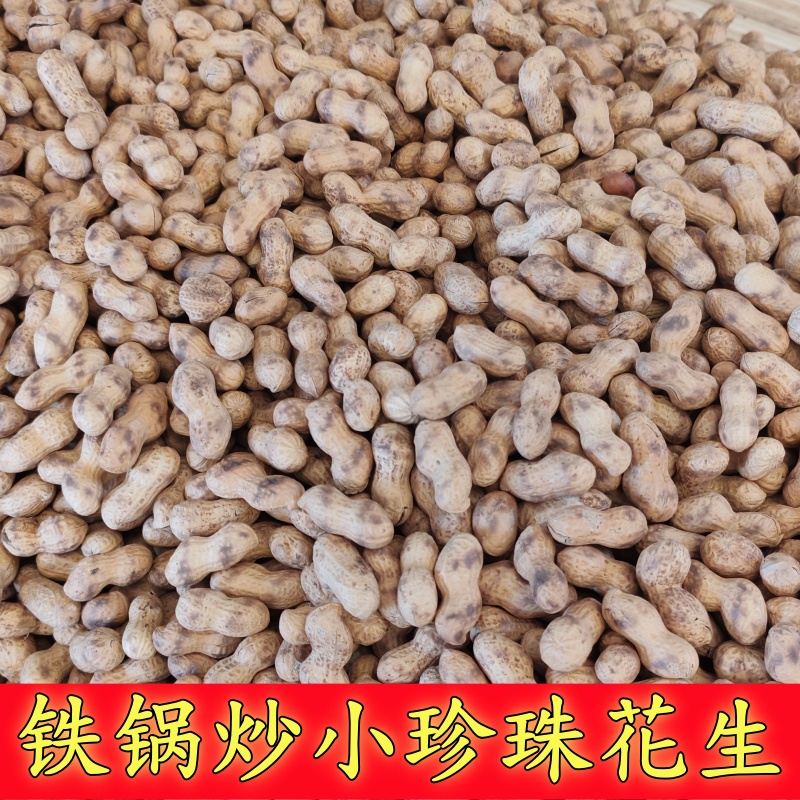 25年新货炒花生净重发货原味熟花生带壳花生批发炒小珍珠花生批发