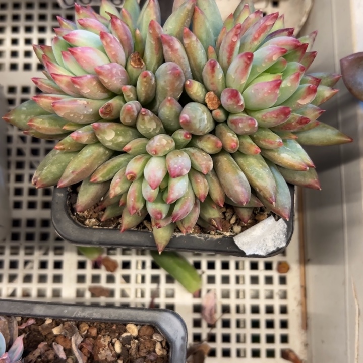 幸运的是我没有遇到过这样幸运