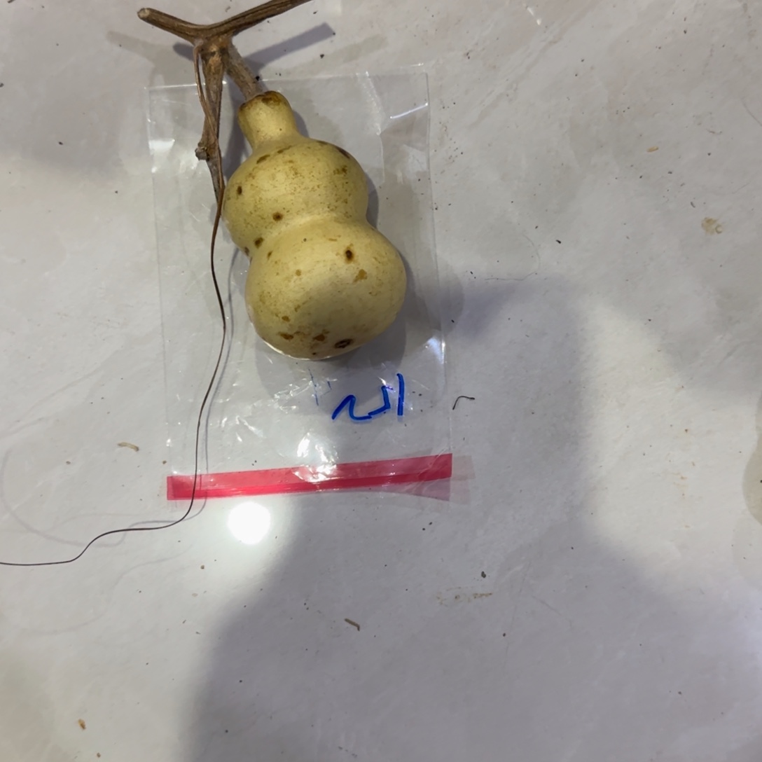 用***1葫芦发际线高哈哈刚刚好jjj