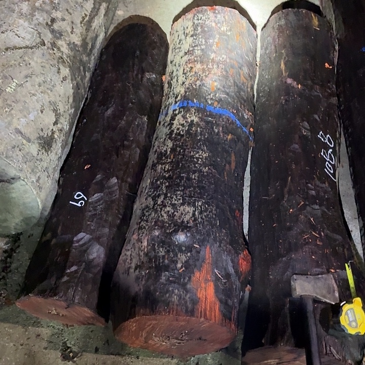 柯****绒质赞比亚血檀6789