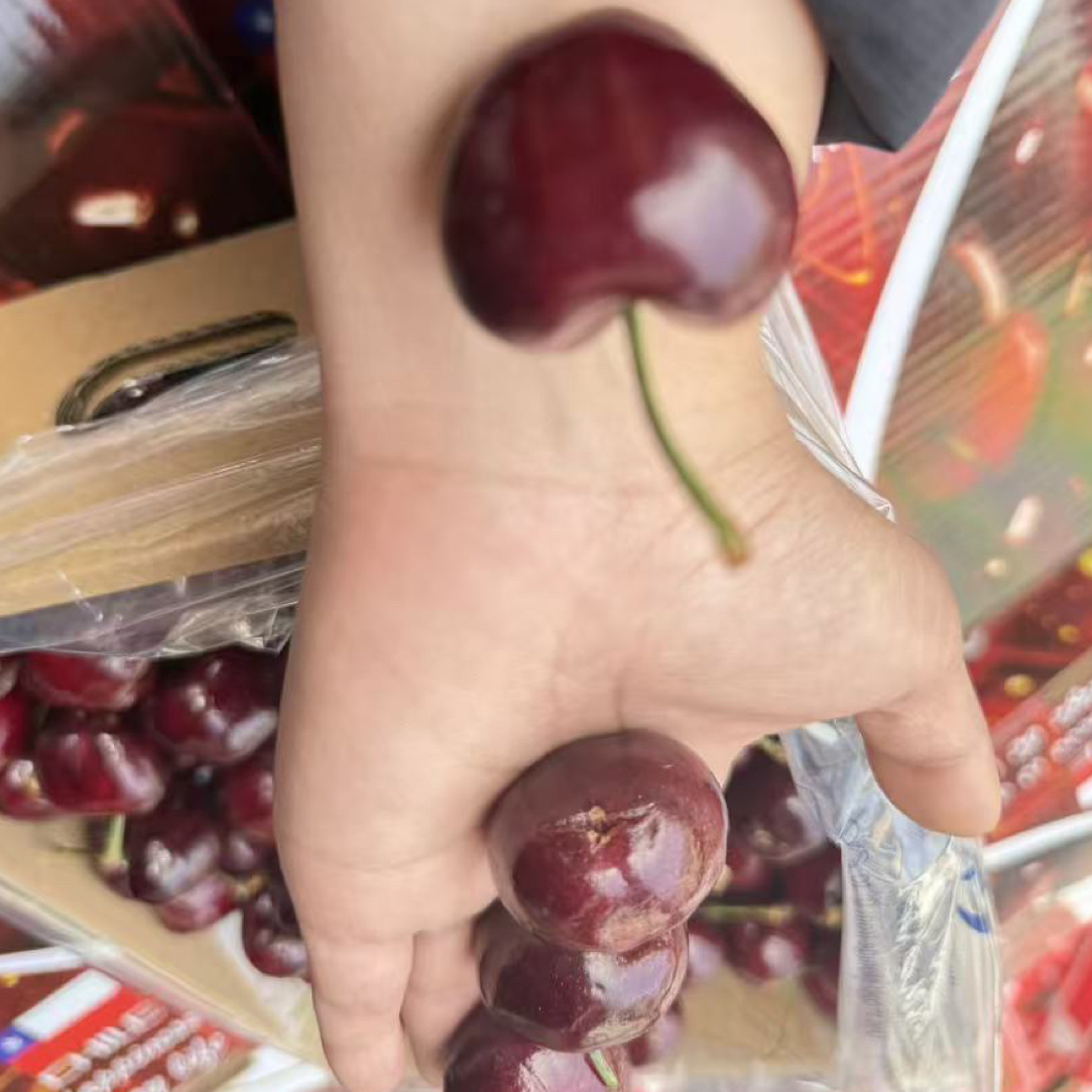 【海运】智利车厘子2JD加黑加大1500g内附果径卡智利