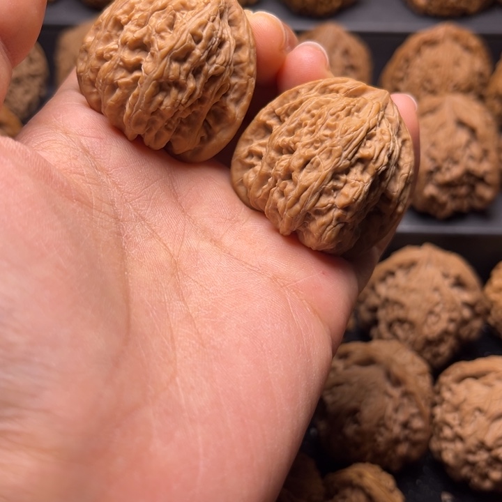 核桃手串/手链红宝石36