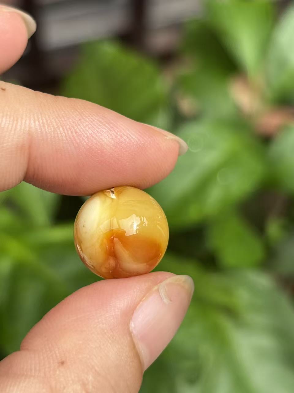 1361天然蜜蜡琥珀沁色圆珠14.7mm