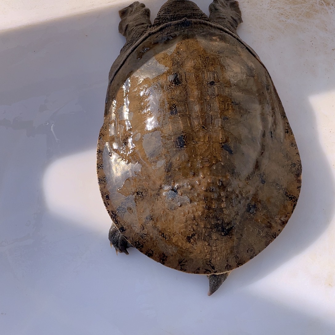 中国大陆12345678