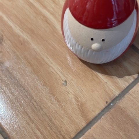 【闪购商品】杯摆件摆件摆件摆件