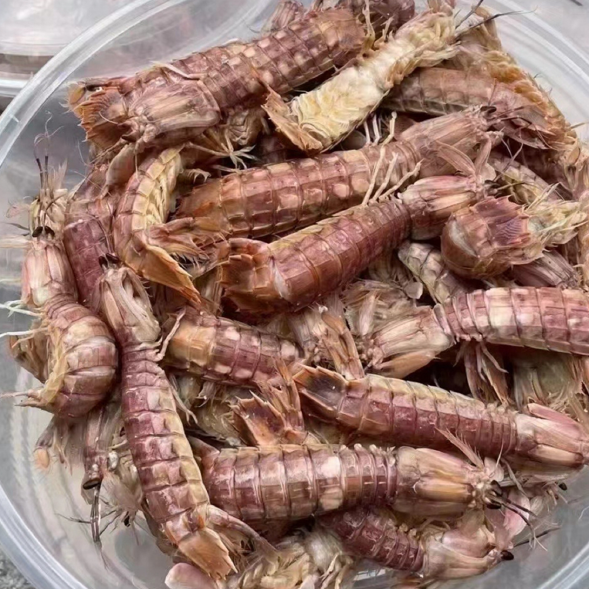 南麂肥美皮皮虾每日现煮小虾姑（3斤装）当天海鲜时价，不退差价