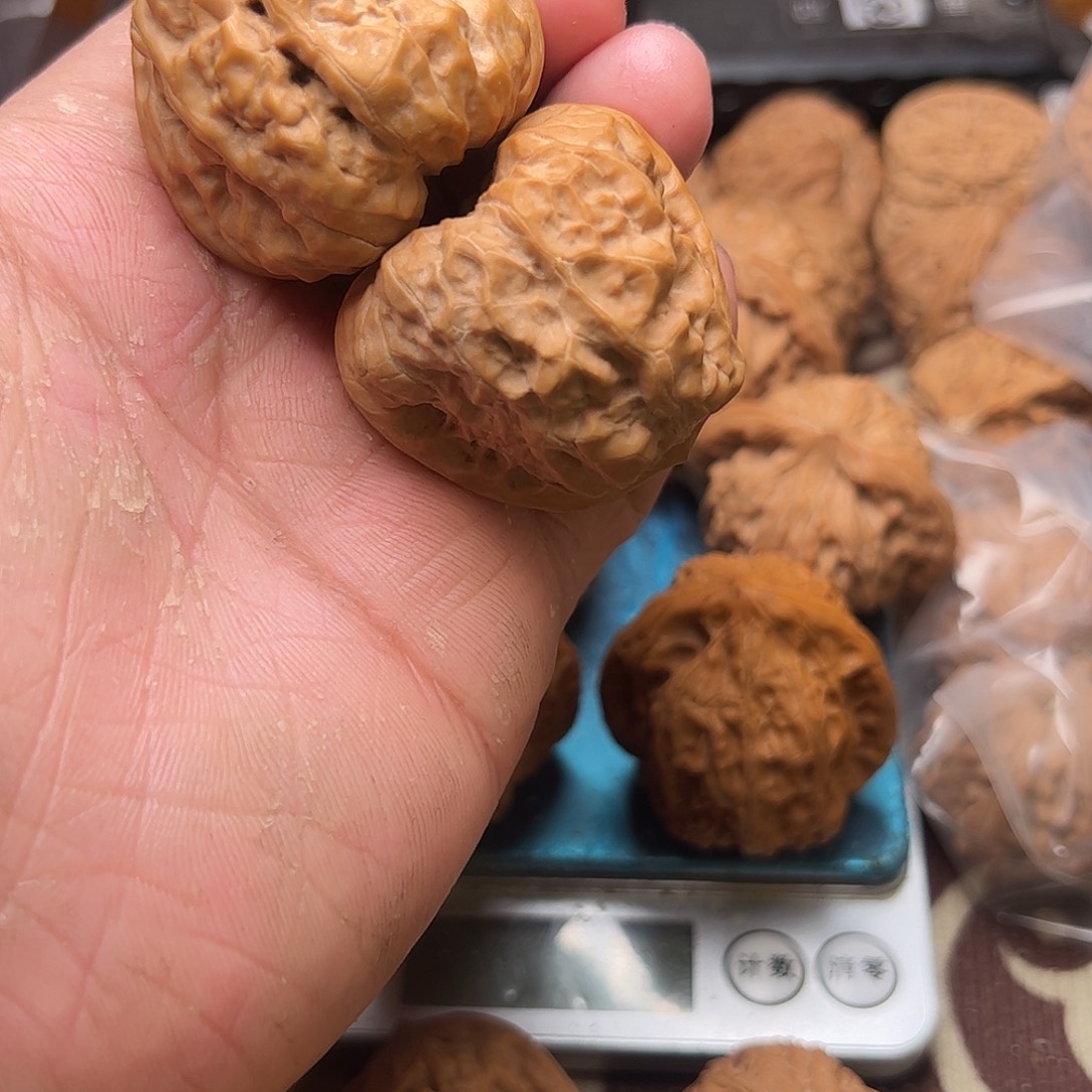 云***方文玩核桃老树蛤蟆