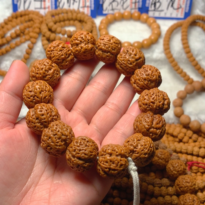 金刚菩提手串   12