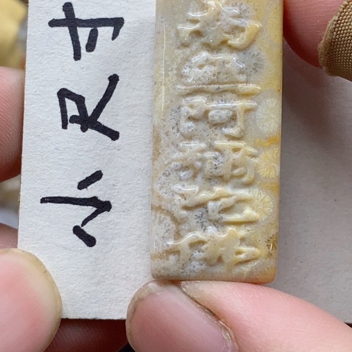 颈饰未镶嵌硅化珊瑚（珊瑚玉）