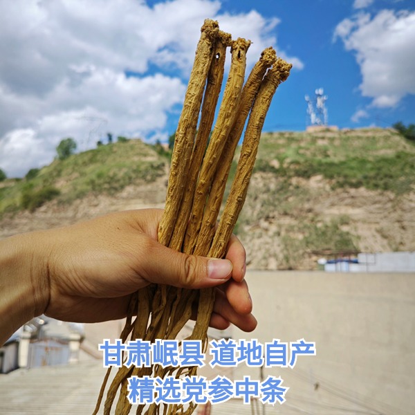 甘肃岷县 党参中条  自产精选泡水煲汤产地新货原味滋养精品品质