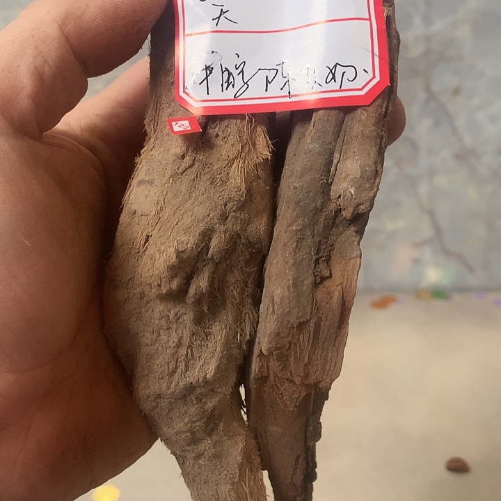 笑***路大叶紫檀（黑酸枝木类）