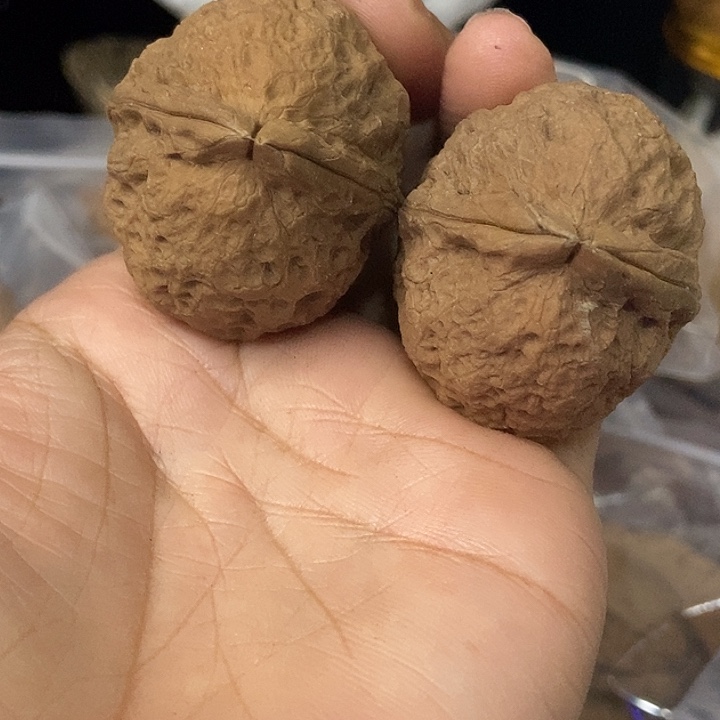 文玩核桃把件云南铁核桃基地28