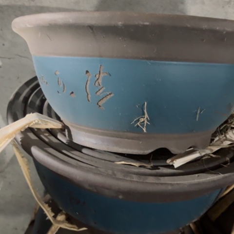 紫砂花盆100-3。37-17