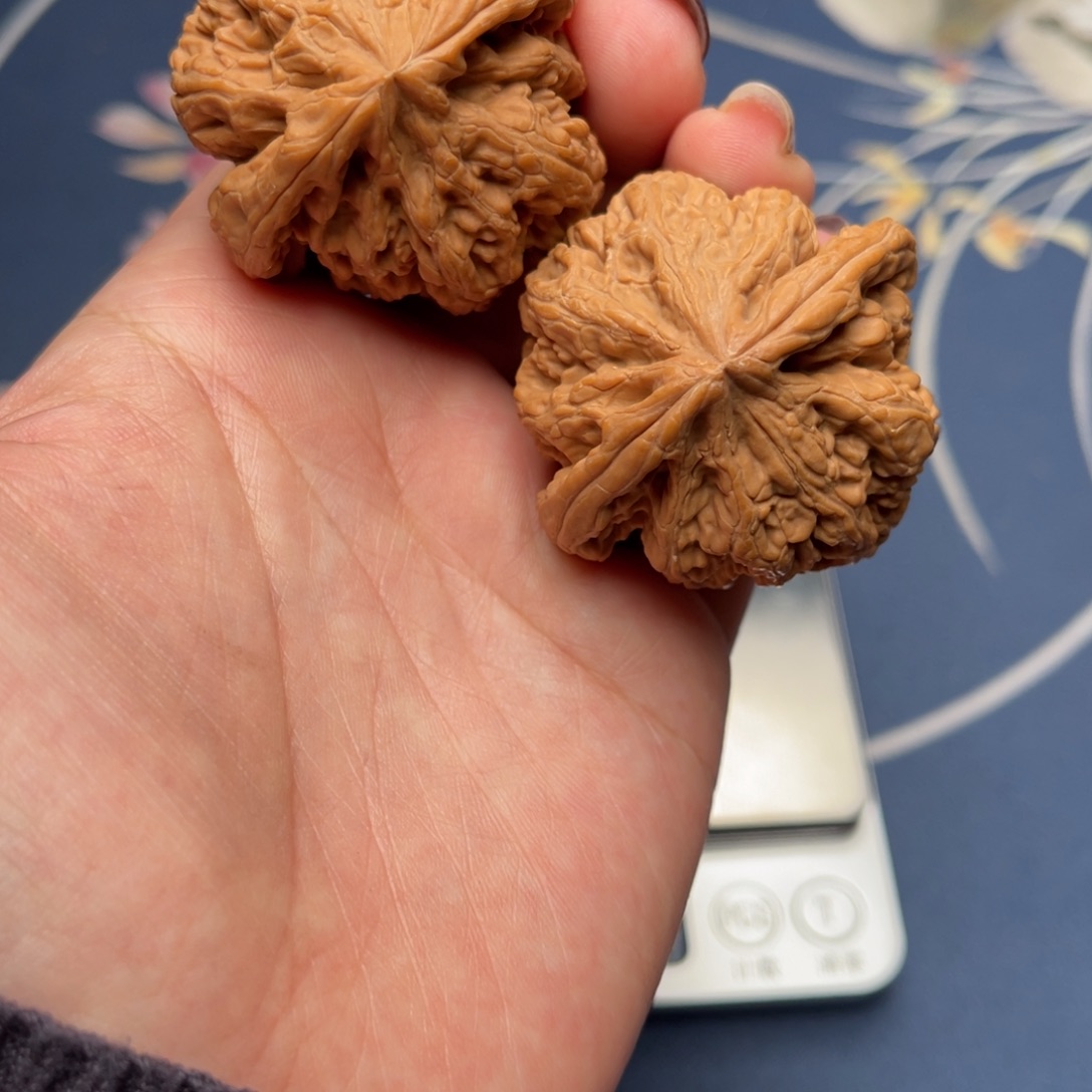 文玩核桃把件粗筋44