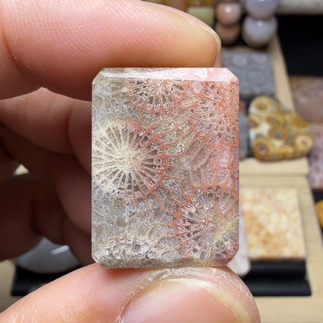 硅化玉未镶嵌纯天然色有机玉石保真色