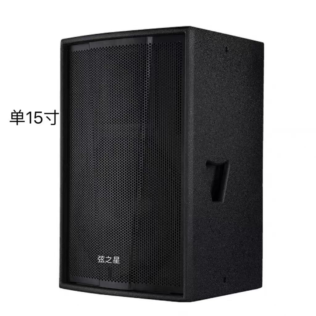 弦之星 专业舞台音箱单12寸单15寸双15寸