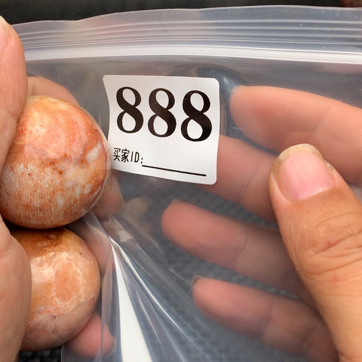 大果紫檀（缅甸花梨）