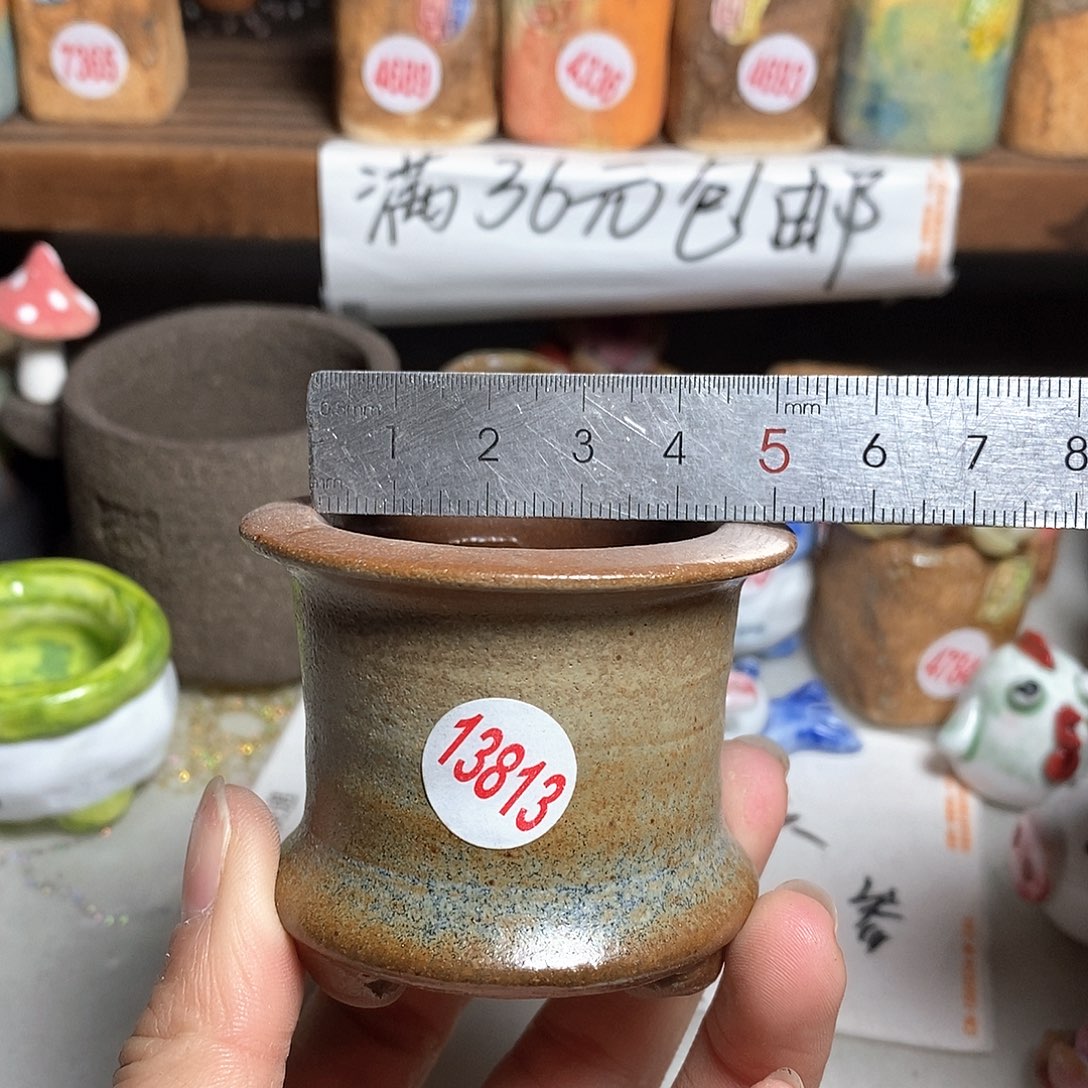 红陶拍5送一个小