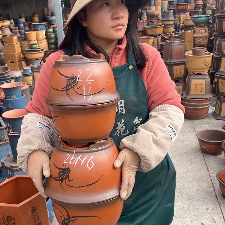 紫砂花盆盆栽花卉苗木种植