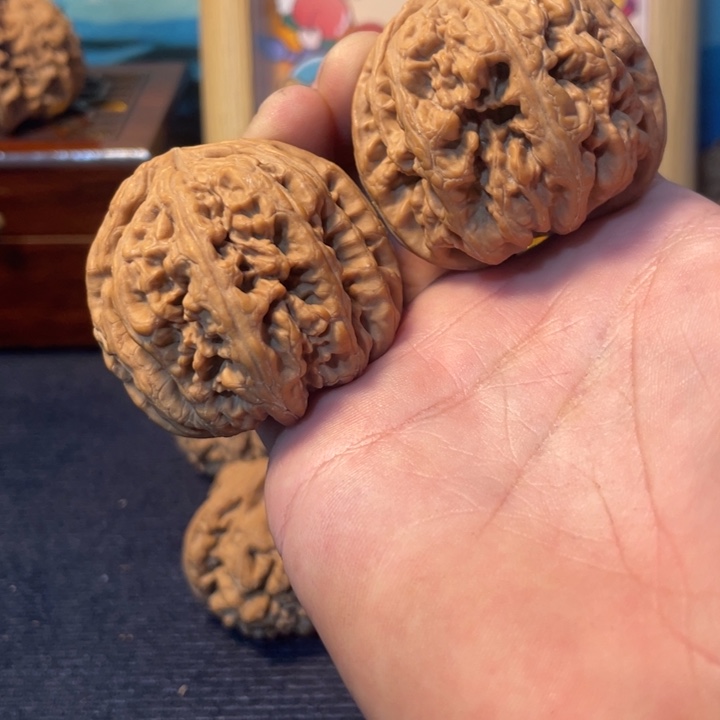 嘻****文玩核桃全品粗筋44