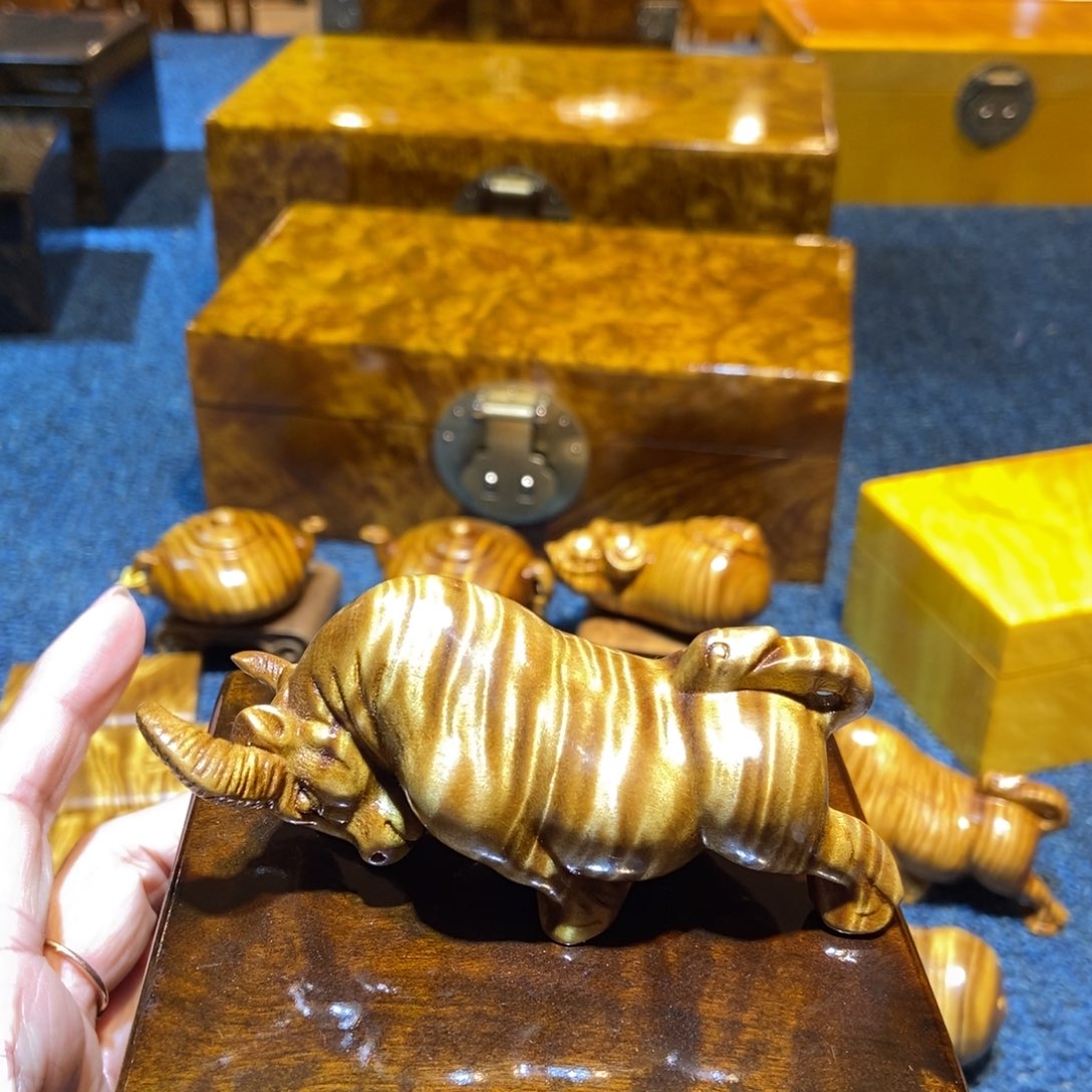 金丝楠金丝楠金丝楠金丝楠
