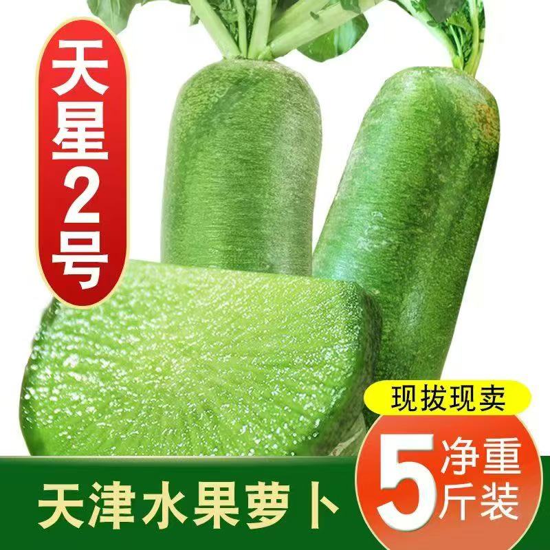 天津本地天星2号水果萝卜现拔现发脆甜多汁