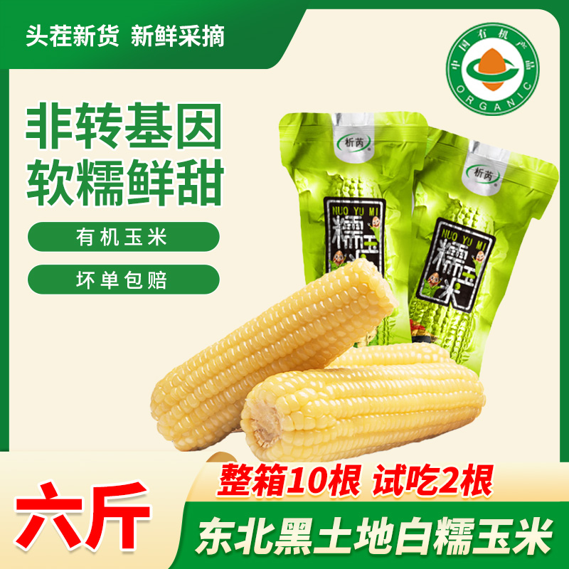 精品有机大白糯8根软嫩大棒多送2根试吃两根3kg/箱