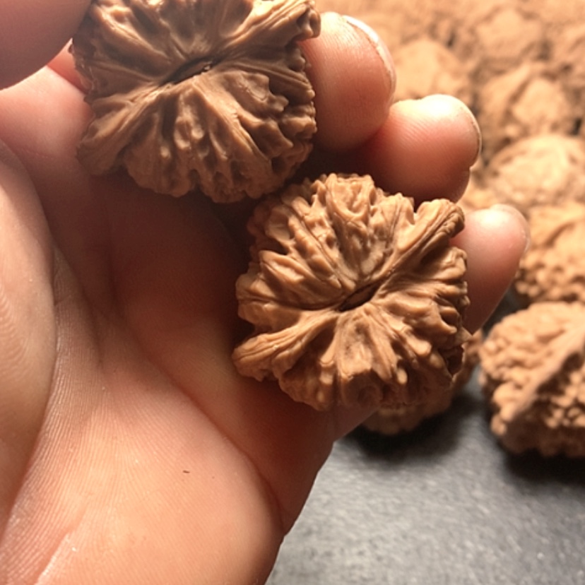 【闪购商品】z*z南疆