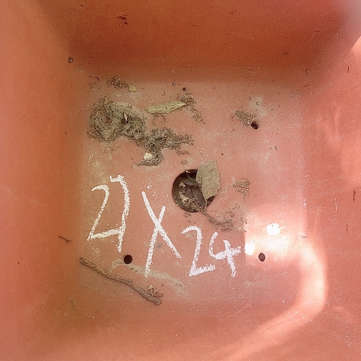 紫砂花盆宜兴紫砂