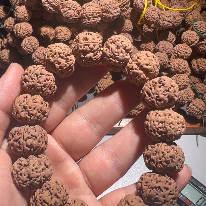 吊坠金刚菩提23号金刚