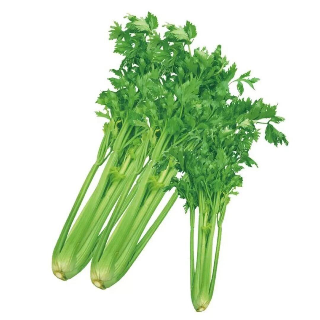 新鲜芹菜500g