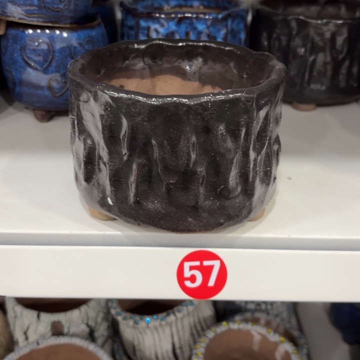 林***子内扣11高9左右，1个